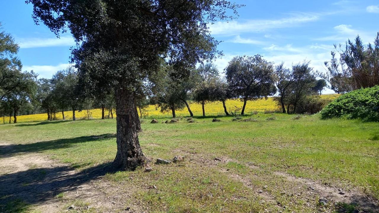 Monte Da Serralheira Agro Turismo Evora Exterior photo