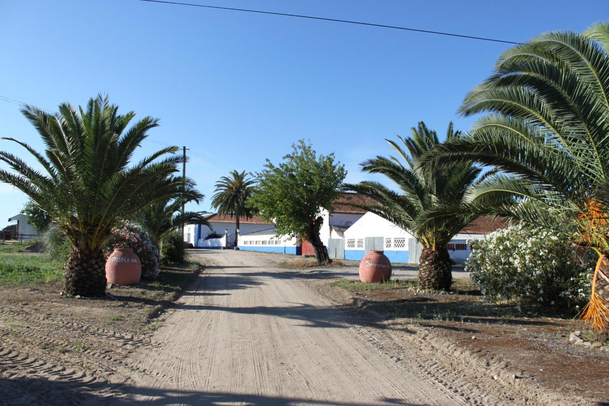 Monte Da Serralheira Agro Turismo Evora Exterior photo