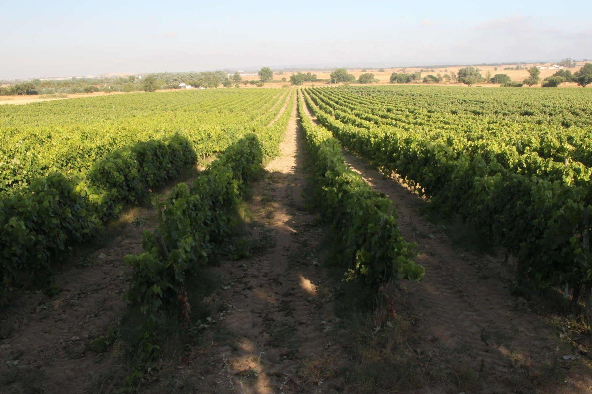 Monte Da Serralheira Agro Turismo Evora Exterior photo